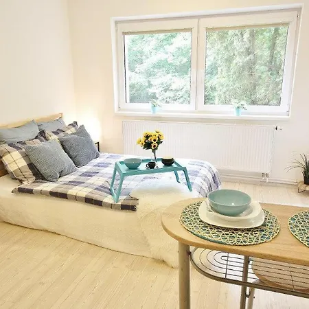 Apartman U Rokle 아파트 브르노